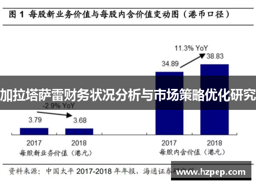 加拉塔萨雷财务状况分析与市场策略优化研究 加拉塔萨雷财务状况分析与市场策略优化研究