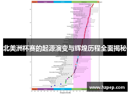 北美洲杯赛的起源演变与辉煌历程全面揭秘 北美洲杯赛的起源演变与辉煌历程全面揭秘